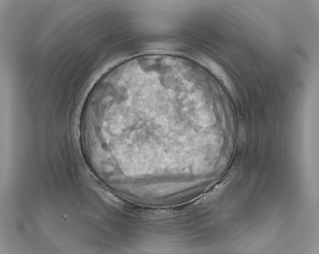 X0000112101435200909011115