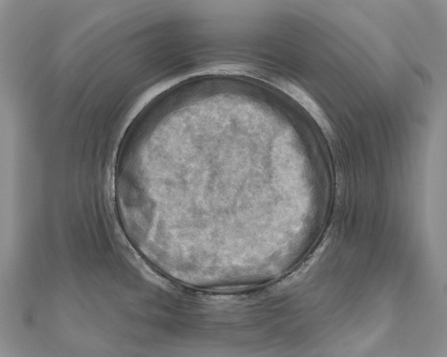 X0000112101436200909011115