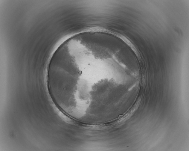 X0000112101438200909011115