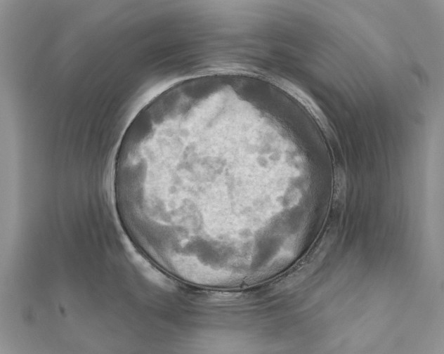 X0000112101439200909011115
