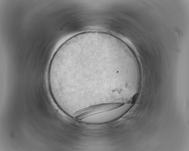 X0000112101440200909011115