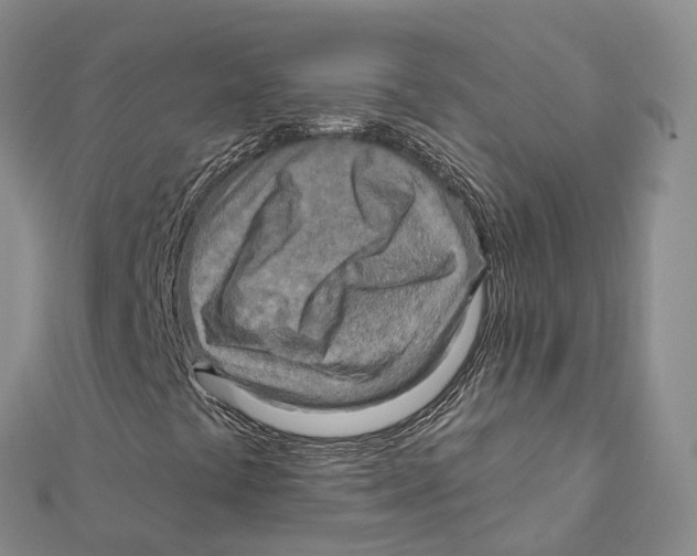 X0000112101441200909011115