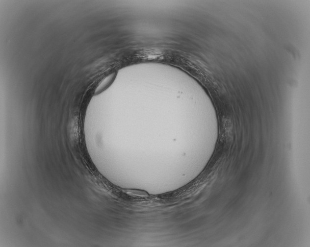 X0000112101442200909011115