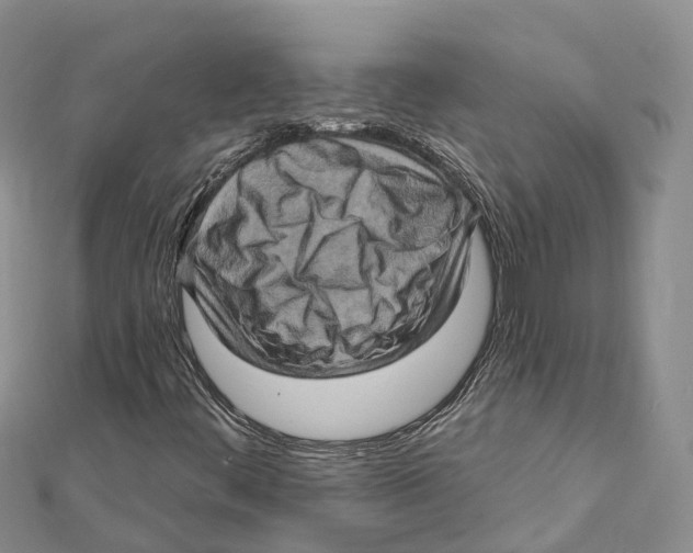 X0000112101444200909011115