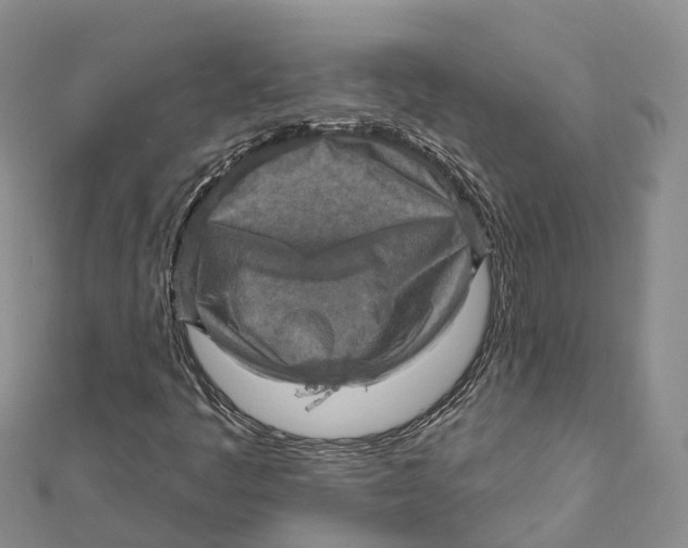 X0000112101445200909011115