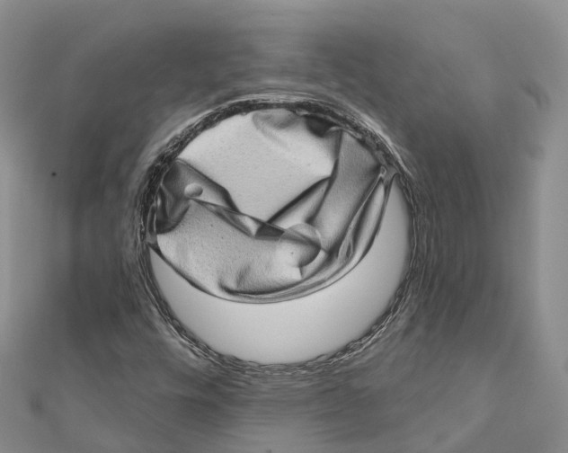 X0000112101448200909011115