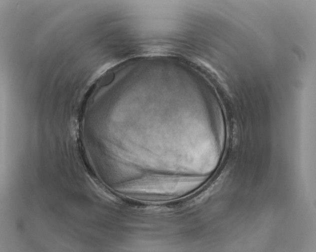 X0000112101449200909011115