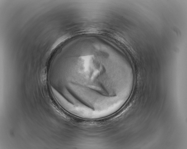 X0000112101450200909011115
