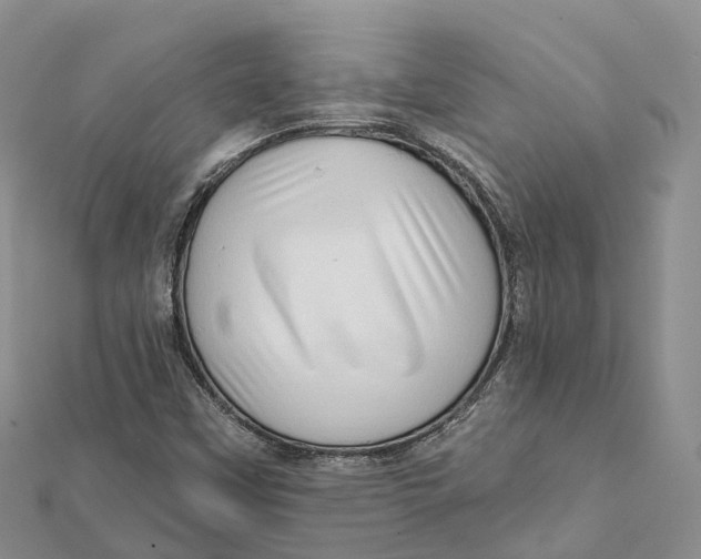 X0000112101451200909011115