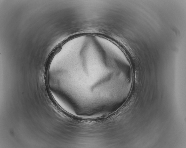 X0000112101452200909011115