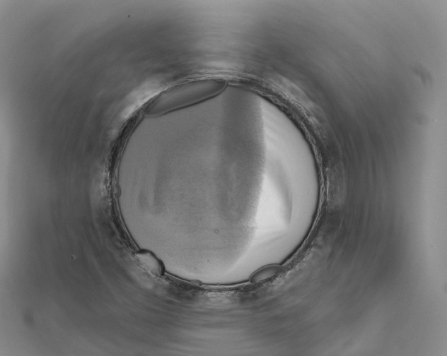 X0000112101453200909011115