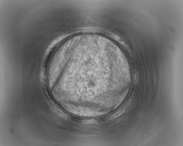 X0000112101454200909011115