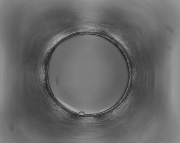 X0000112101455200909011115