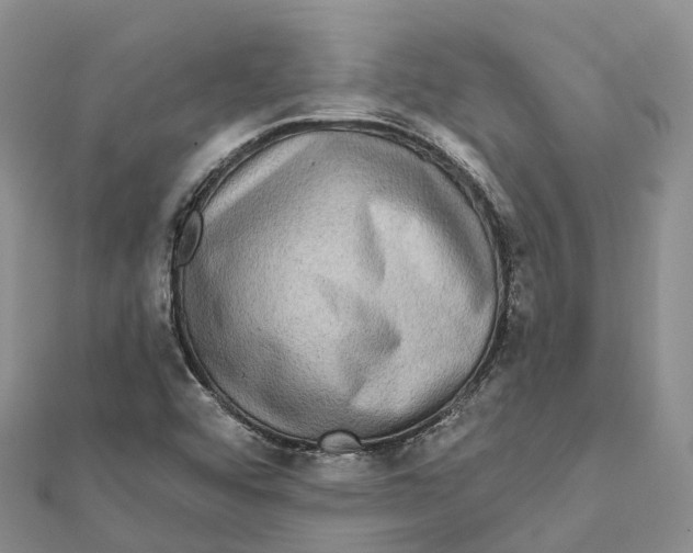 X0000112101456200909011115