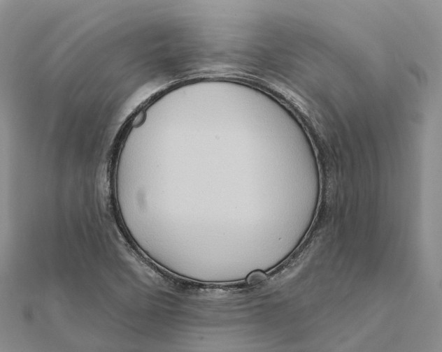 X0000112101458200909011115