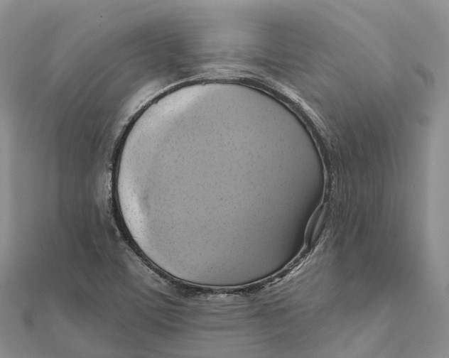 X0000112101459200909011115