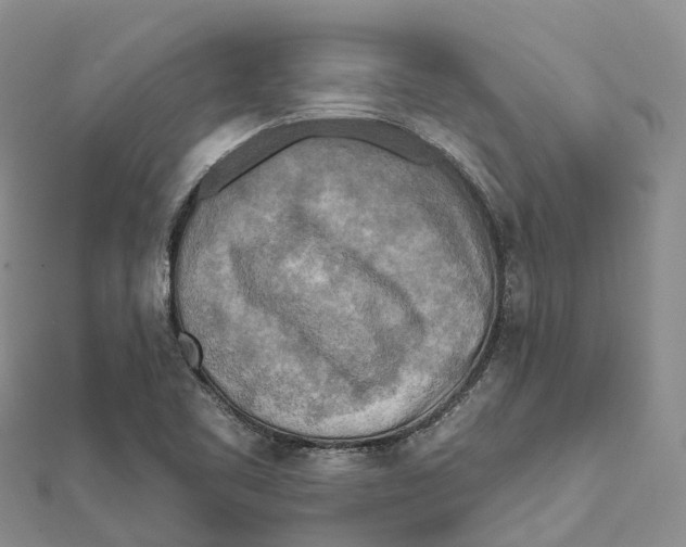 X0000112101461200909011115