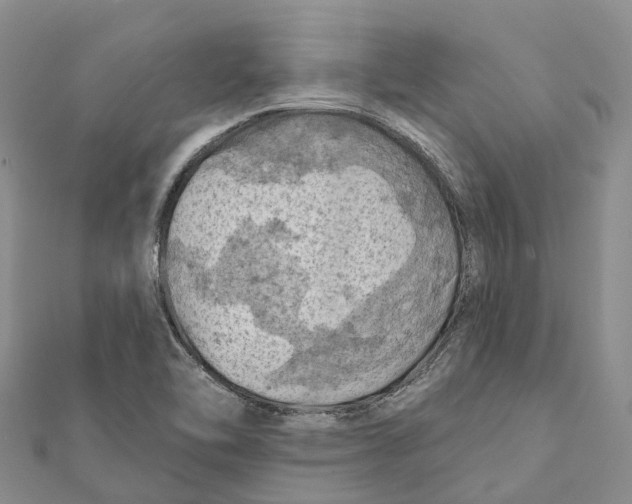 X0000112101462200909011115