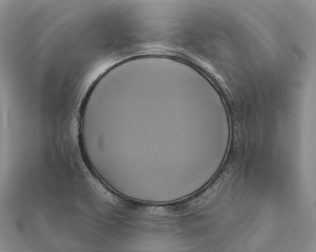X0000112101463200909011115