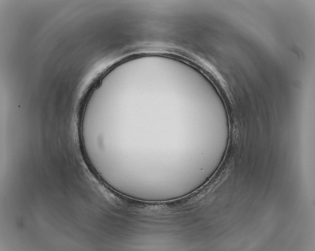 X0000112101464200909011115