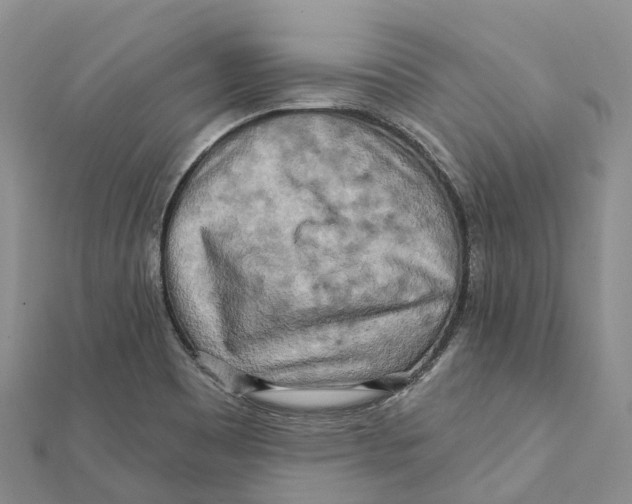 X0000112101465200909011115