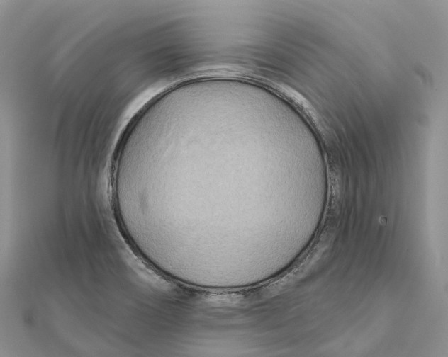 X0000112101466200909011115