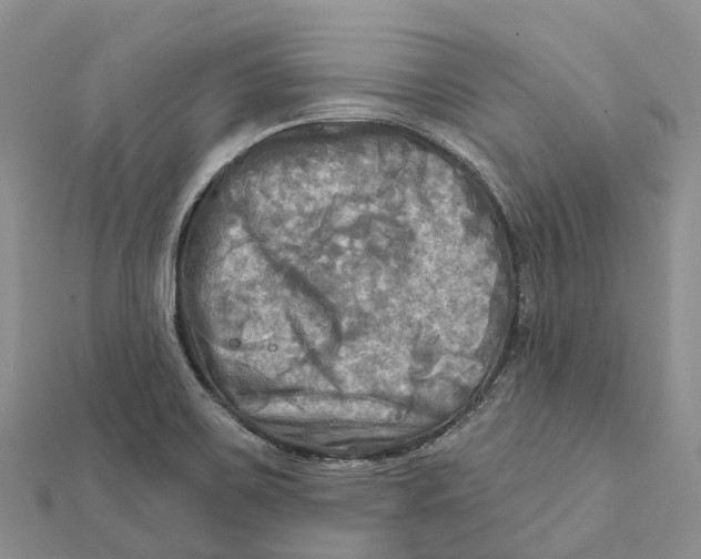 X0000112101467200909011115