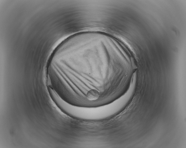 X0000112101468200909011114