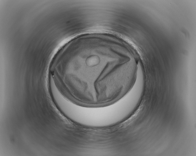 X0000112101469200909011114