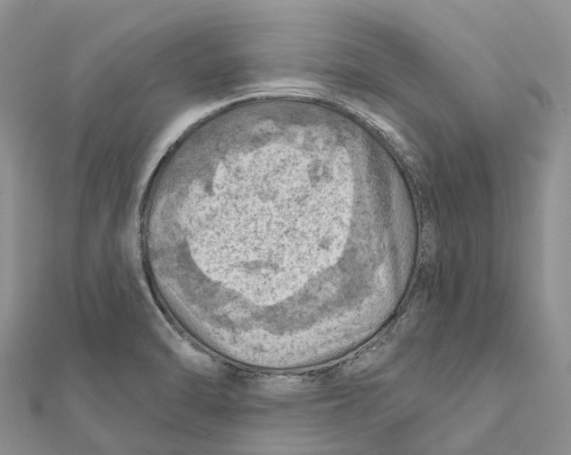 X0000112101470200909011114