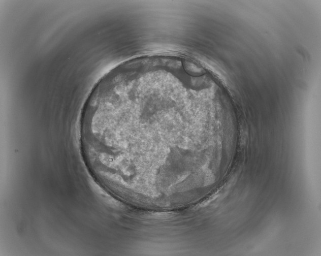 X0000112101471200909011114
