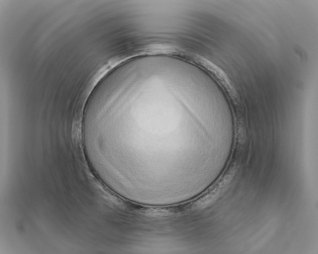 X0000112101473200909011114