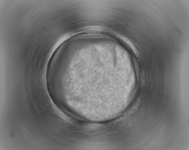 X0000112101475200909011114