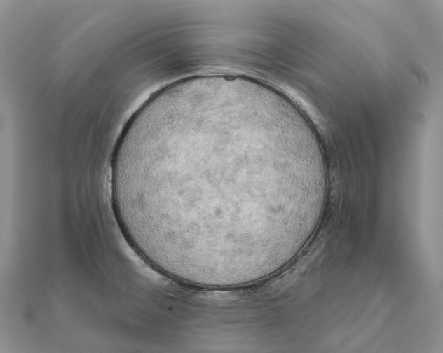 X0000112101476200909011114