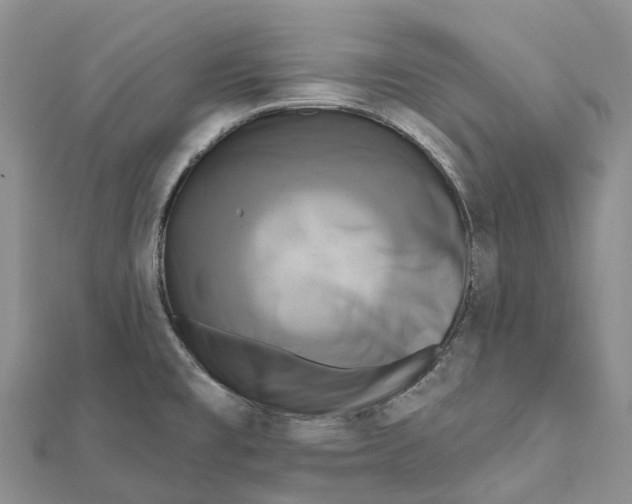 X0000112101477200909011114