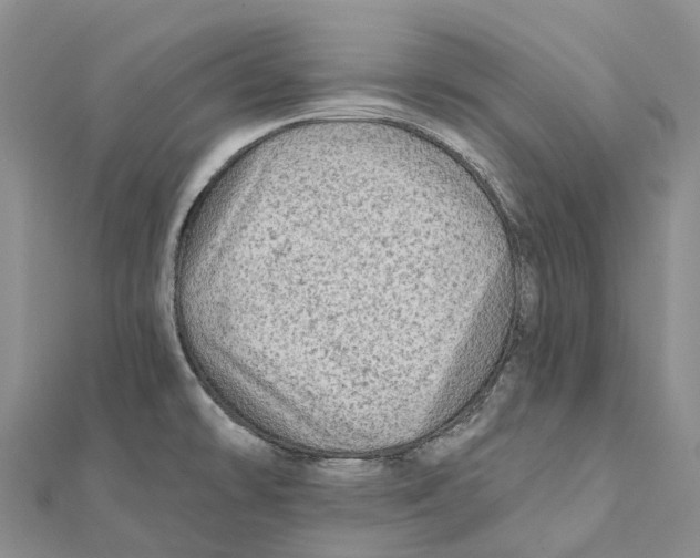 X0000112101478200909011114