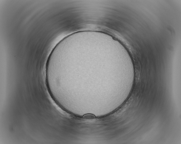 X0000112101479200909011114