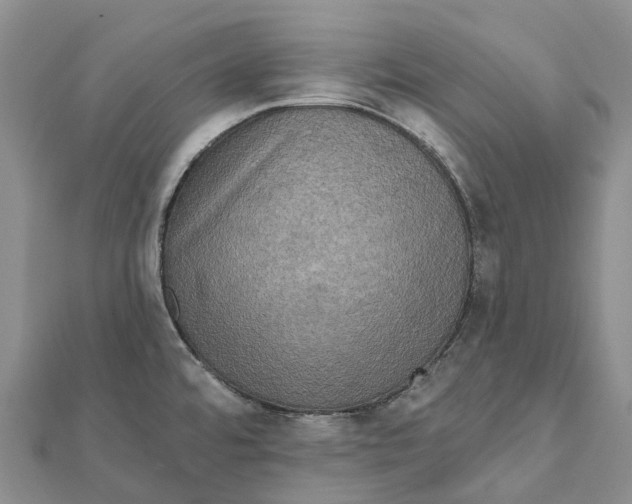 X0000112101480200909011114