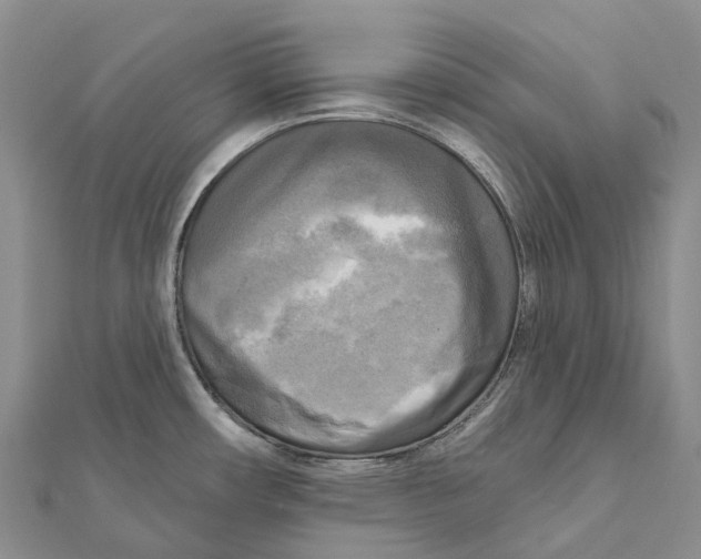 X0000112101482200909011114