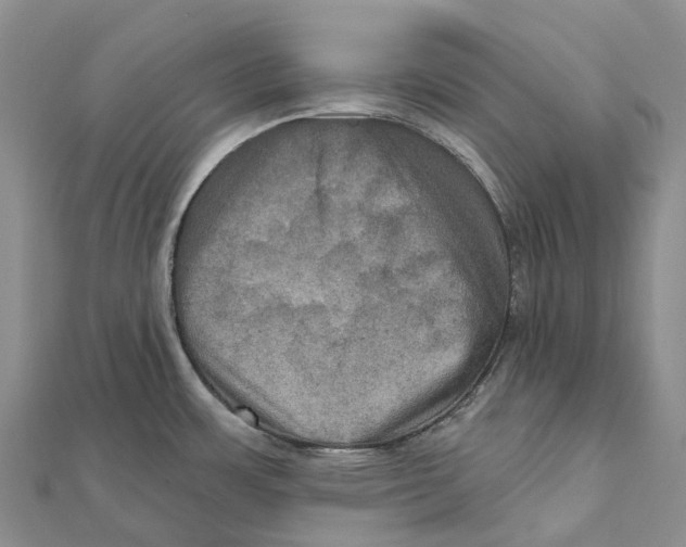X0000112101483200909011114