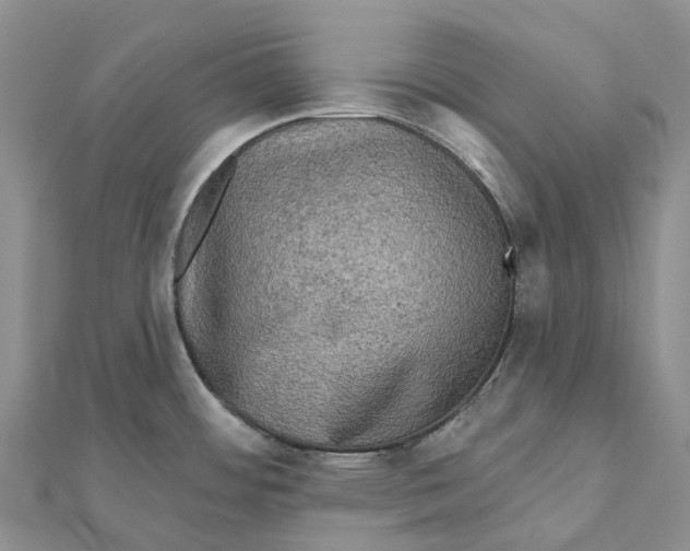 X0000112101484200909011114