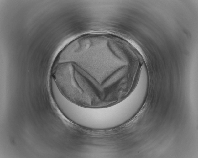 X0000112101485200909011114