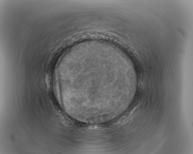 X0000112101490200909011113