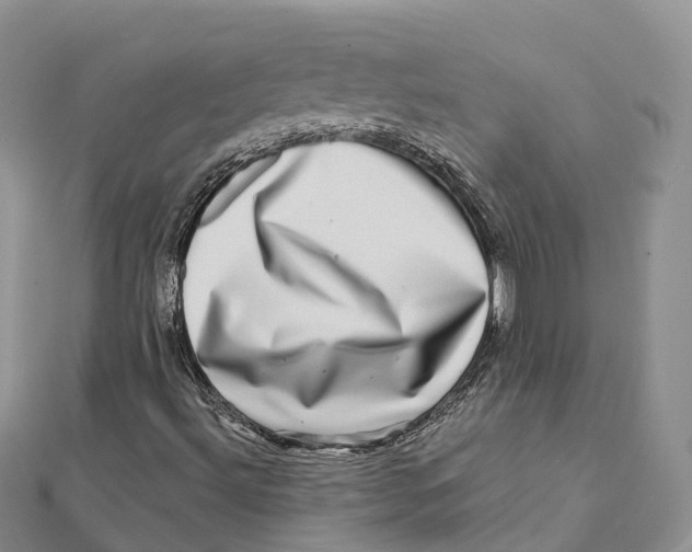 X0000112101492200909011113