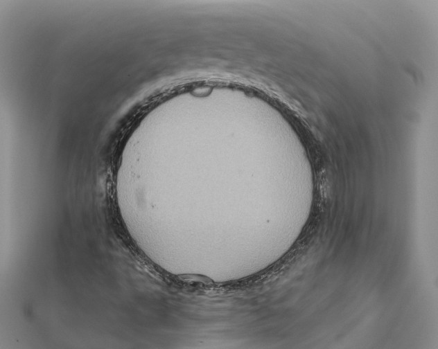 X0000112101495200909011114