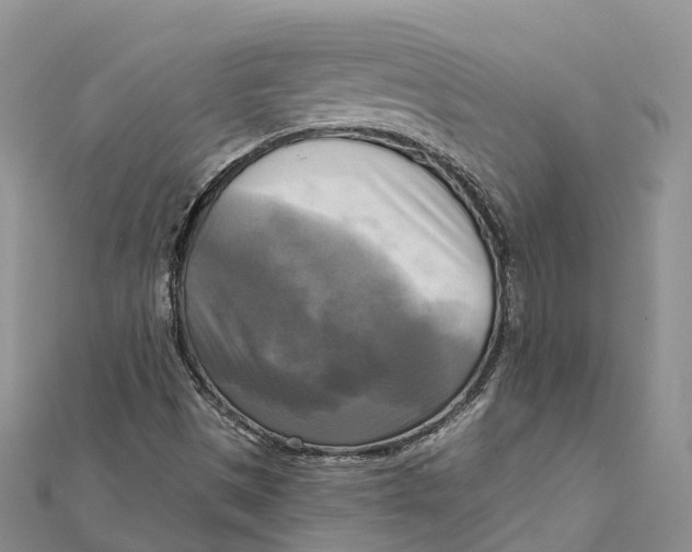 X0000112101497200909011114