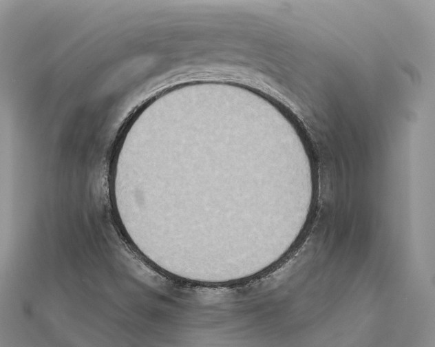 X0000112101498200909011114