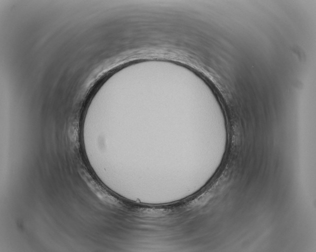 X0000112101499200909011114