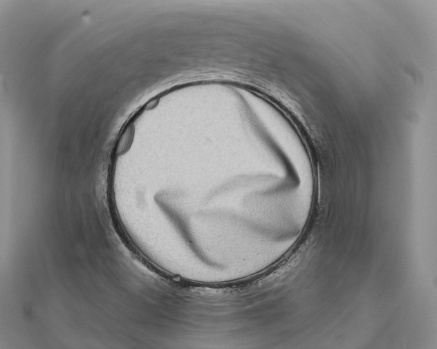 X0000112101500200909011114