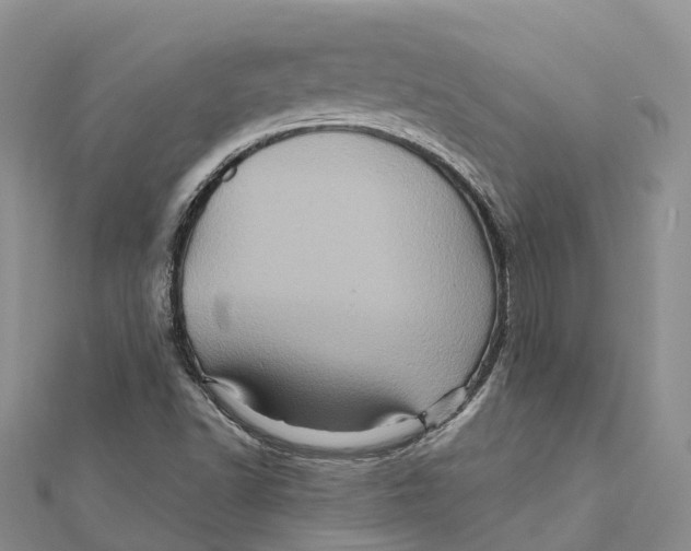 X0000112101502200909011114